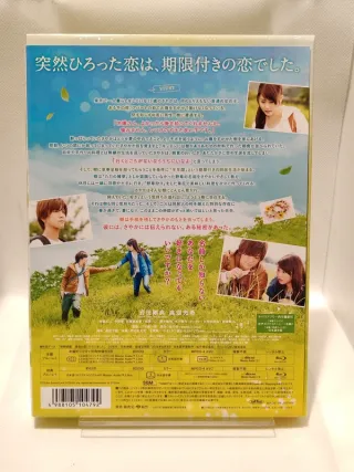 Blu-ray Evergreen Love Edizione Deluxe