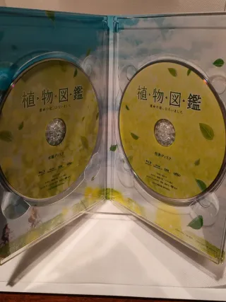 Blu-ray Evergreen Love Edizione Deluxe