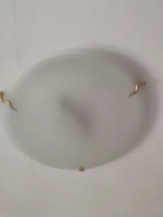 Lámpara de techo ovalada.