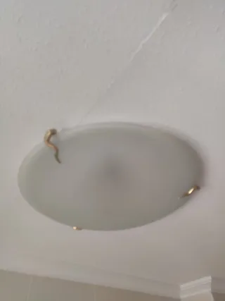 Lámpara de techo ovalada.