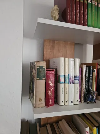 Librería de madera blanca y marrón
