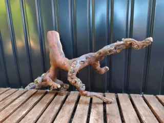 Raíz/tronco Decoración acuario OFERTA SOLO HOY!