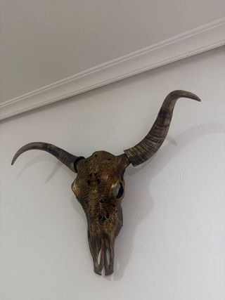 Craneo dorado decorativo