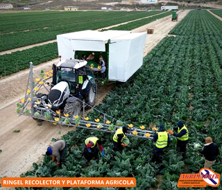 Recolector agrícola de hortalizas