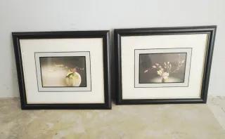 Conjunto de 2 cuadros decorativos