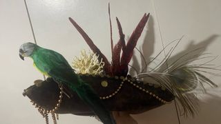 Disfraz de mujer pirata