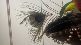 Disfraz de mujer pirata