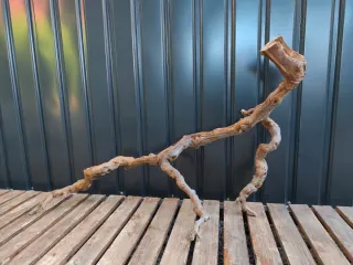 Raíz/tronco Decoración acuario OFERTA SOLO HOY!