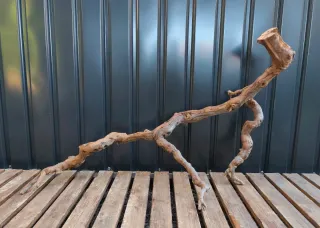 Raíz/tronco Decoración acuario OFERTA SOLO HOY!