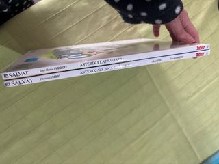 lot còmics Astèrix (en català) n.12 i n.31