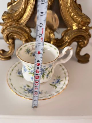 Taza y platillo de porcelana de Royal Albert