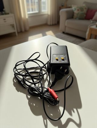 Caricabatterie auto con pinze