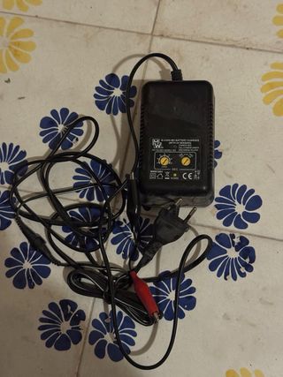 Caricabatterie auto con pinze