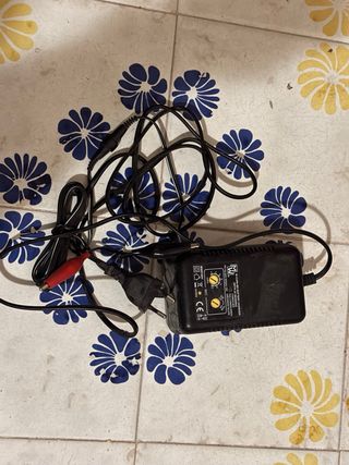 Caricabatterie auto con pinze