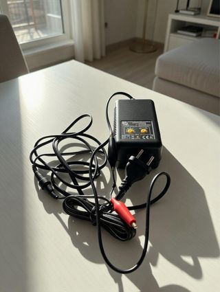 Caricabatterie auto con pinze