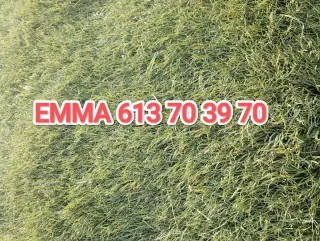 Césped artificial reciclado