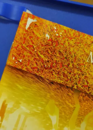 Shifters PS2 (PlayStation 2)