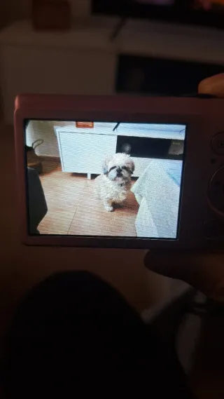 Cámara Digital Canon IXUS 105 Rosa