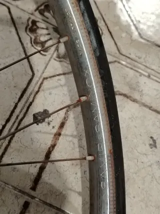 Bicicleta Clásica Vintage