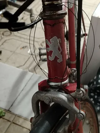Bicicleta Clásica Vintage