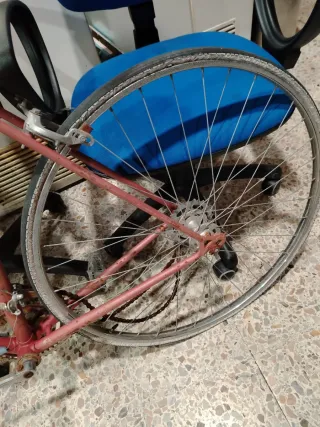 Bicicleta Clásica Vintage