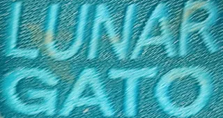 Zapatillas Nike Futbol Sala Lunar Gato.