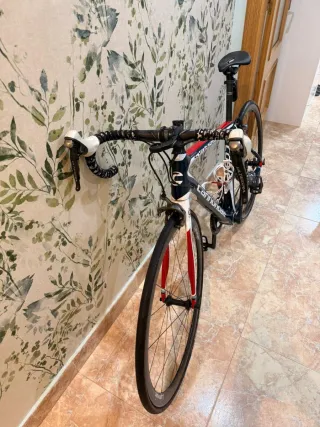 Cannondale Synapse Carbon Ultegra