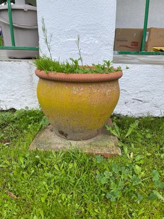 Macetero de barro con grabado ornamental