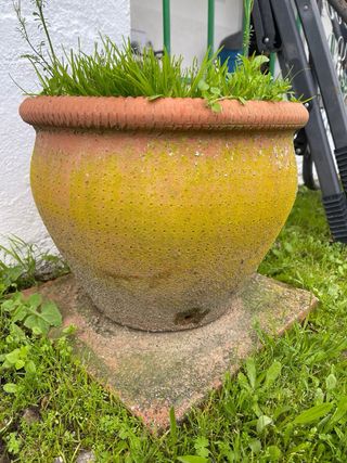 Macetero de barro con grabado ornamental