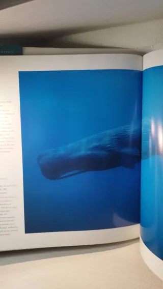 National Geographic – Las mejores fotografías