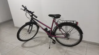 Bicicleta Montaña Morada y Morada