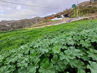 Terreno en venta en Algarrobo en Algarrobo