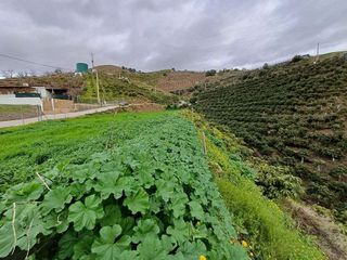 Terreno en venta en Algarrobo en Algarrobo