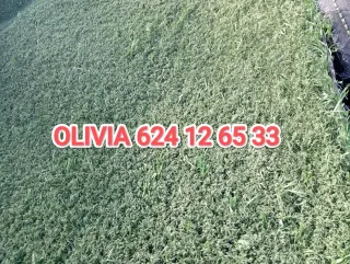 Césped artificial reciclado