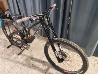 Specialized DEMO RACE