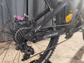 Specialized DEMO RACE