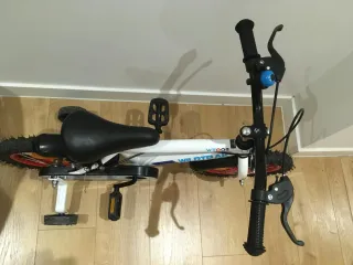Bicicleta infantil Wildtrak WT002
