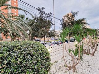 Piso en alquiler en Playa de San Juan en Alicante