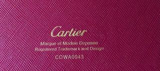 Cartier Santos in Argento Bianco