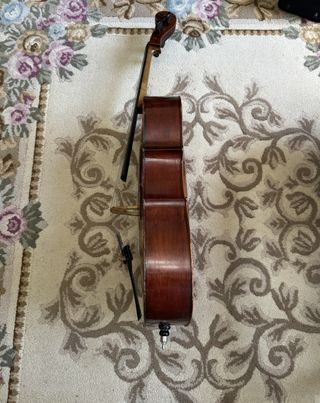 Violonchelo Celebre Vosgien