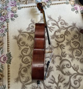 Violonchelo Celebre Vosgien