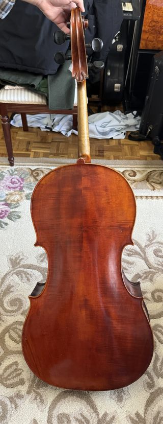 Violonchelo Celebre Vosgien