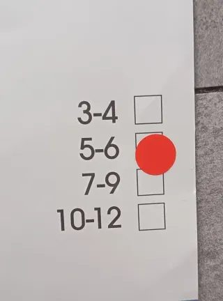 Disfraz Charleston Plata Lentejuelas