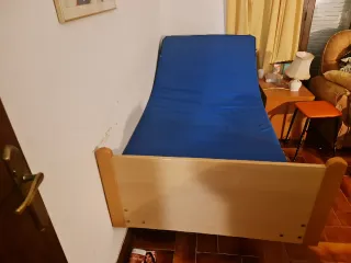 Cama ortopédica eléctrica