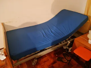 Cama ortopédica eléctrica