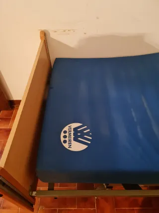 Cama ortopédica eléctrica