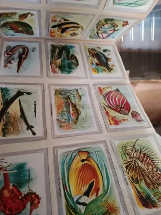 2 Libros Cromos Años 60