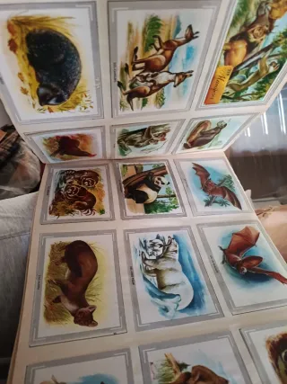 2 Libros Cromos Años 60