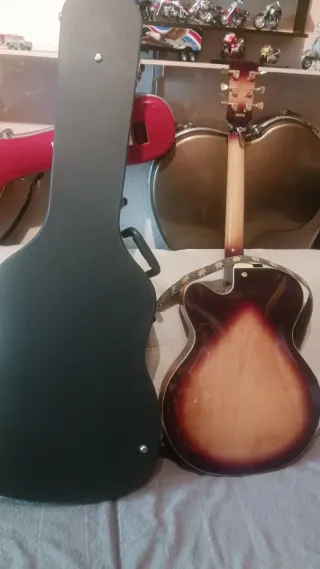 Guitarra Eléctrica Hollow Vintage Modelo Sultán