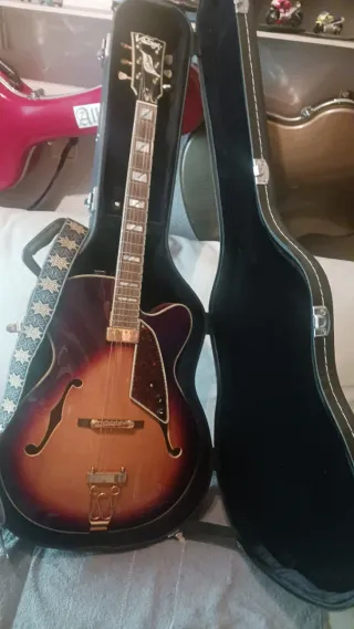 Guitarra Eléctrica Hollow Vintage Modelo Sultán